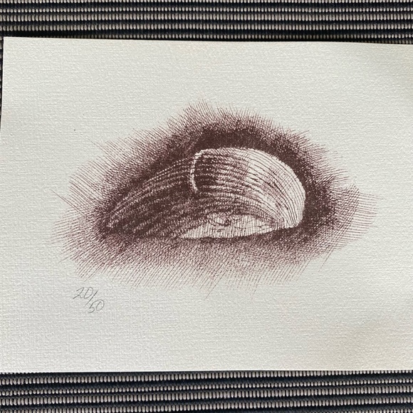 Sea Shell Prints-Limited Edition and Numbered. - Picture 4 of 7